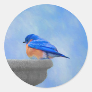 Pegatina Redonda Pintura de pájaro azul - Arte de pájaro original
