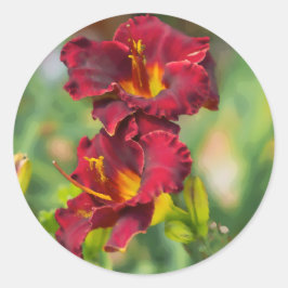 Pegatina Redonda Pintura digital de flores diurnas de color rojo y 