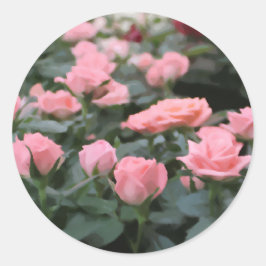 Pegatina Redonda Pintura digital de flores para minitRosas rosados