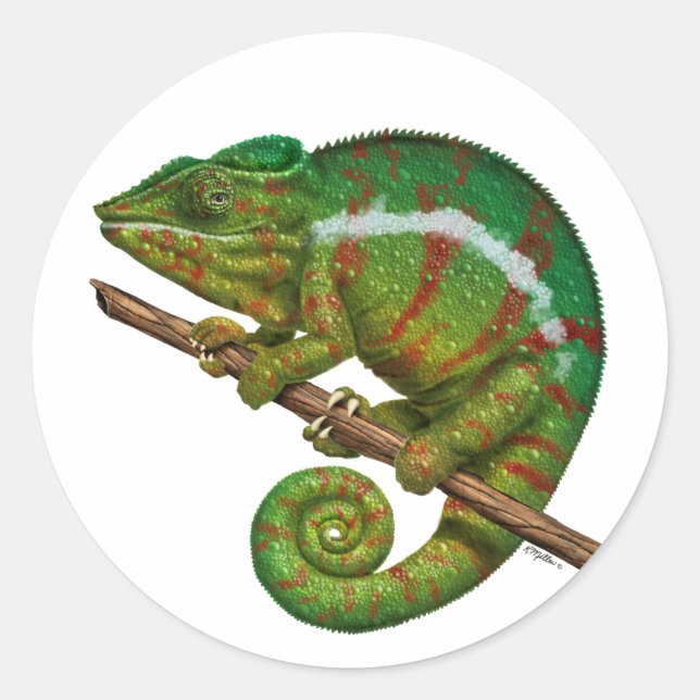 Pegatina Redonda Pintura digital de Panther Chameleon (Anverso)