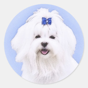 Pegatina Redonda Pintura maltesa - Arte de perro original muy lindo