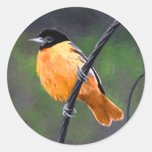 Pegatina Redonda Pintura Oriole - Arte original de aves