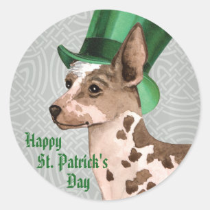 Pegatina Redonda PIO del Día de San Patricio