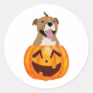 Pegatina Redonda Pitbull Halloween