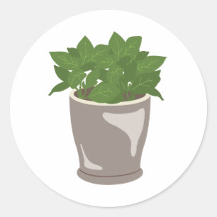 Pegatina Redonda Planta Basil