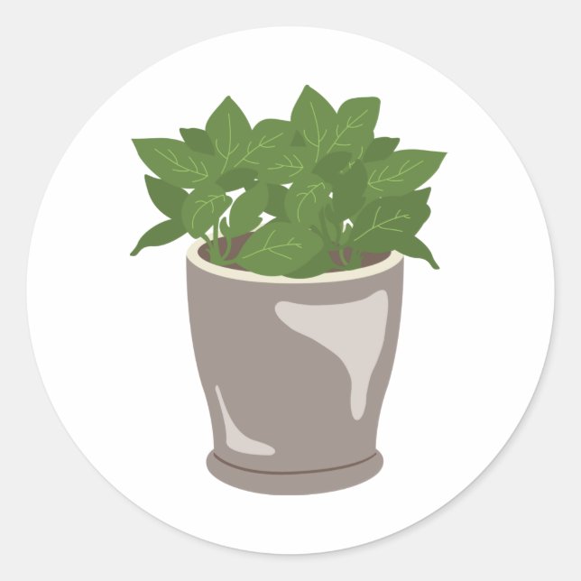 Pegatina Redonda Planta Basil (Anverso)