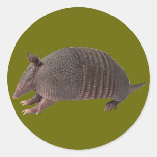 Pegatina Redonda Planta de Armadillo