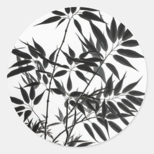 Pegatina Redonda Planta de bambú blanco y negro