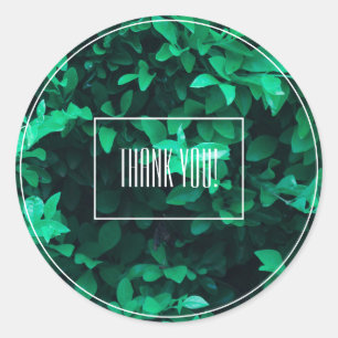 Pegatina Redonda Planta de Hoja Verde Pálido Sticker de Agradecimie