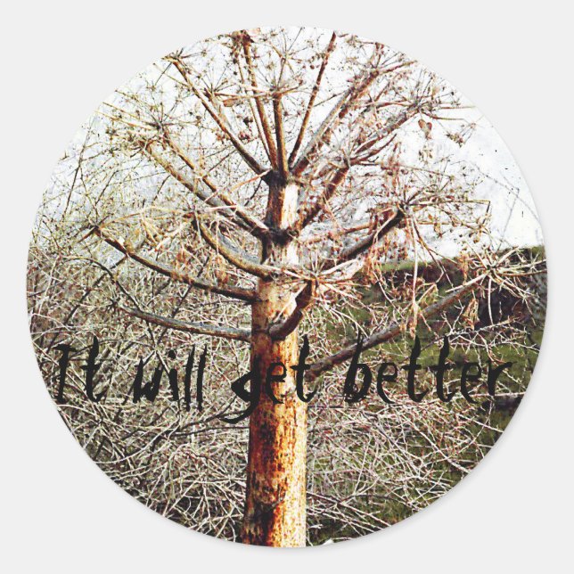 Pegatina Redonda Planta Dry Ferula (Anverso)