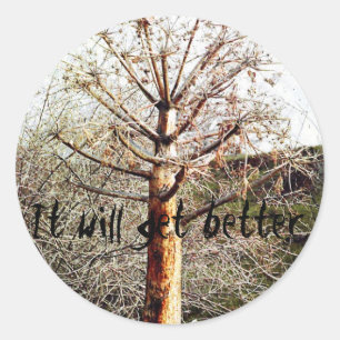 Pegatina Redonda Planta Dry Ferula