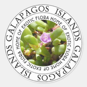 Pegatina Redonda Planta Séptima de las Islas Galápagos