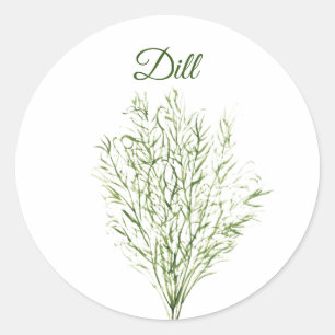 Pegatina Redonda Planta verde culinaria Dill Herb Greenery Kitchen