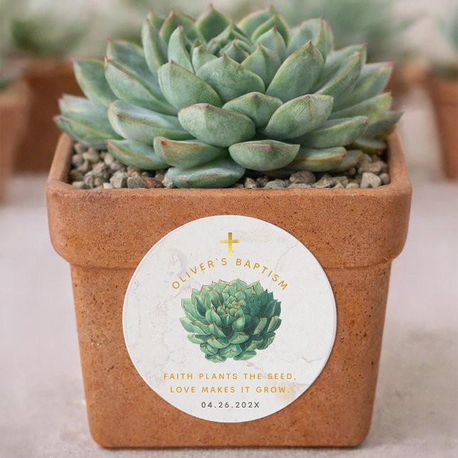 Pegatina Redonda Plantas de Fé Succulent Gold siembra la semilla Fa (Subido por el creador)