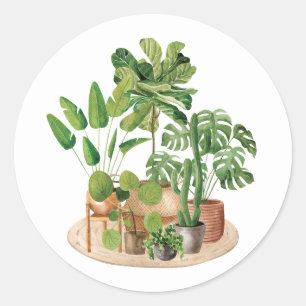 Pegatina Redonda Plantas de interior con acuarela