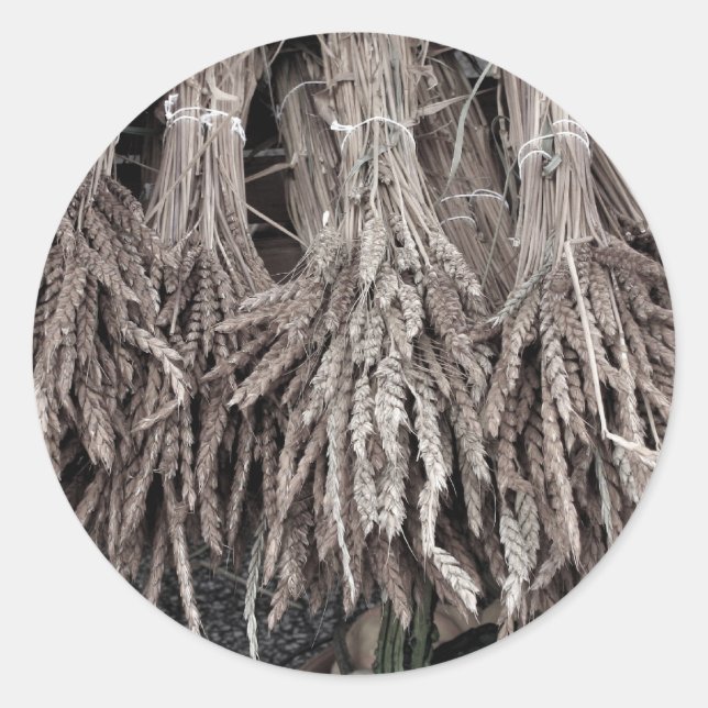 Pegatina Redonda Plantas secas para decorar (Anverso)