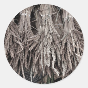 Pegatina Redonda Plantas secas para decorar