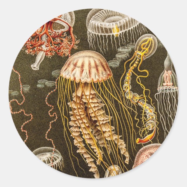 Pegatina Redonda Plantilla de pescado de mariscos antiguos (Anverso)