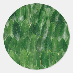 Pegatina Redonda Plantilla en blanco estampado de hoja verde