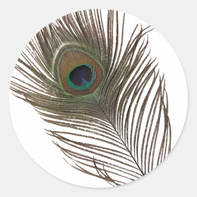 Pegatina Redonda Pluma de pavo real (Anverso)