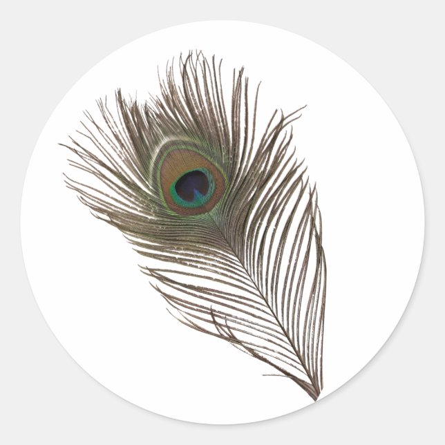 Pegatina Redonda Pluma de pavo real (Anverso)