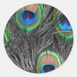 Pegatina Redonda Pluma de pavo real negro y blanco