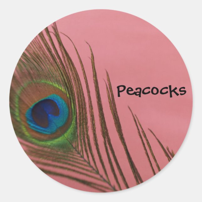 Pegatina Redonda Pluma de pavo real oscuro (Anverso)