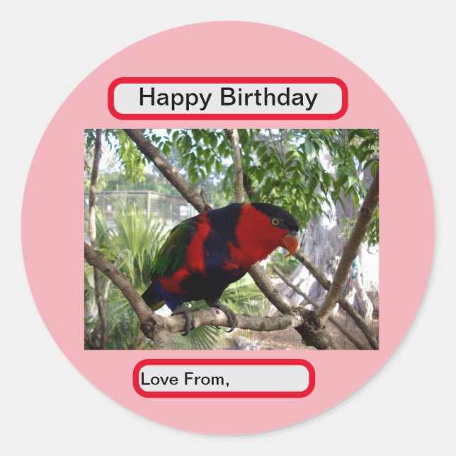 Pegatina Redonda Plumas arcoiris: Bonito Australian Lorikeet, (Anverso)