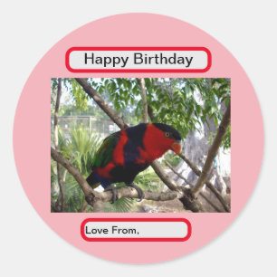 Pegatina Redonda Plumas arcoiris: Bonito Australian Lorikeet,