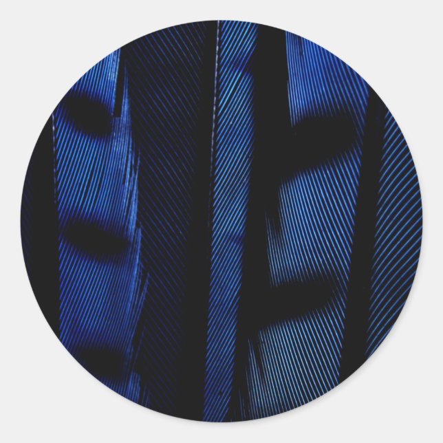 Pegatina Redonda plumas de jay azul (Anverso)