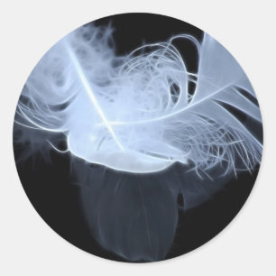 Pegatina Redonda Plumas de llama gemela y reflexión