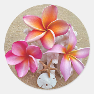 Pegatina Redonda Plumeria en conchas en la playa