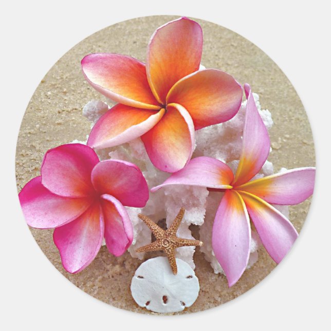 Pegatina Redonda Plumeria en conchas en la playa (Anverso)