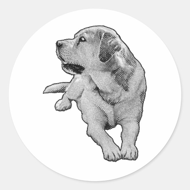 Pegatina Redonda Pocket Daydream, Recuperador (Anverso)