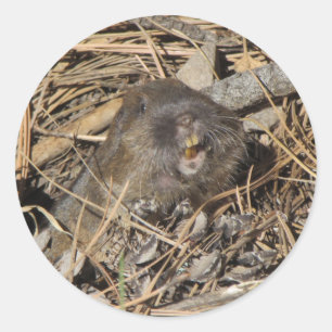 Pegatina Redonda Pocket Gopher