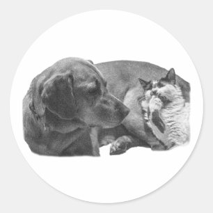 Pegatina Redonda Pocket Pals: gálibo suave