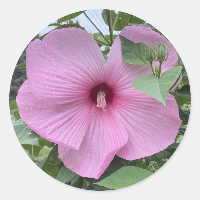 PEGATINA REDONDA PODER DE LA ROPA (Anverso)