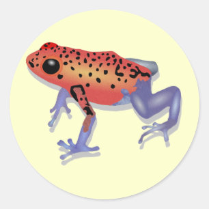 Pegatina Redonda Poison Dart Frog
