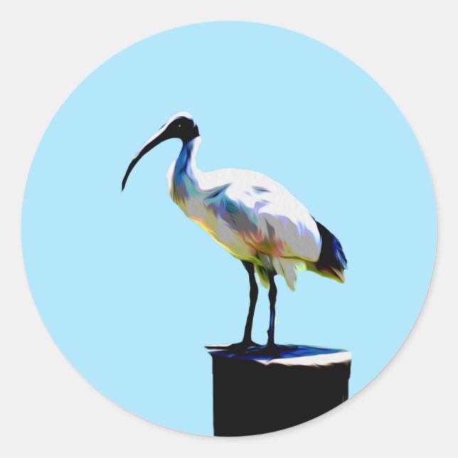 Pegatina Redonda Pollo Bin, (Ibis) Pintura de aceite, (Anverso)
