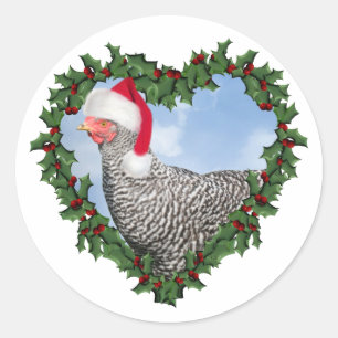 Pegatina Redonda Pollo de Navidad * Barred Rock