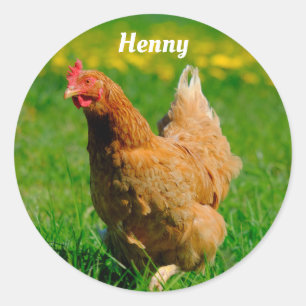 Pegatina Redonda Pollo marrón personalizado en la hierba