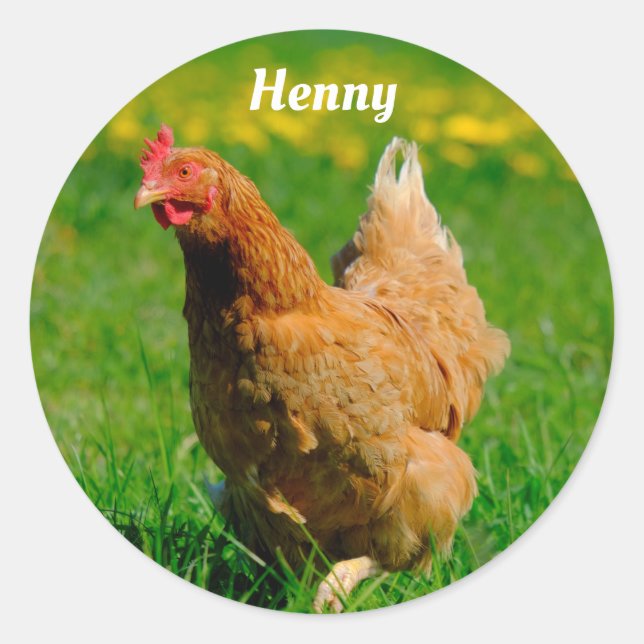 Pegatina Redonda Pollo marrón personalizado en la hierba (Anverso)