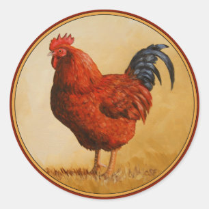 Pegatina Redonda Pollo Rojo de Rhode Island