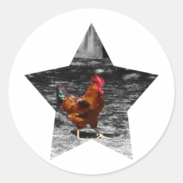 Pegatina Redonda Pollo superestrella (Anverso)