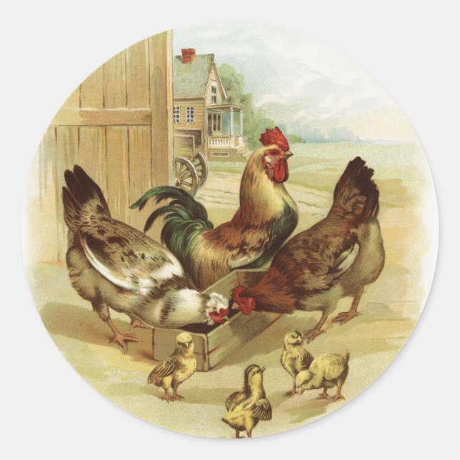 Pegatina Redonda Pollos de granja de arte ventilado (Anverso)