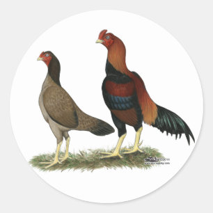 Pegatina Redonda Pollos de ruedas de acero