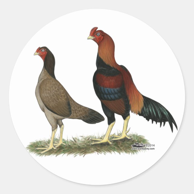 Pegatina Redonda Pollos de ruedas de acero (Anverso)
