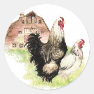 Pegatina Redonda Pollos y escena de la granja del granero a