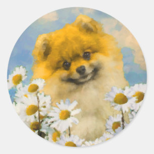 Pegatina Redonda Pomerania en pintura de Daisies - Arte de perro or