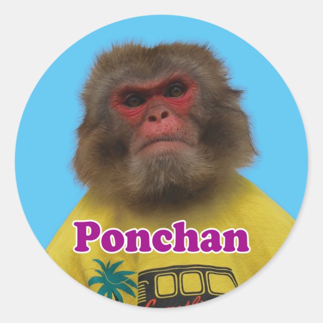 Pegatina Redonda Ponchan sticker.　ぽんちゃんシール (Anverso)